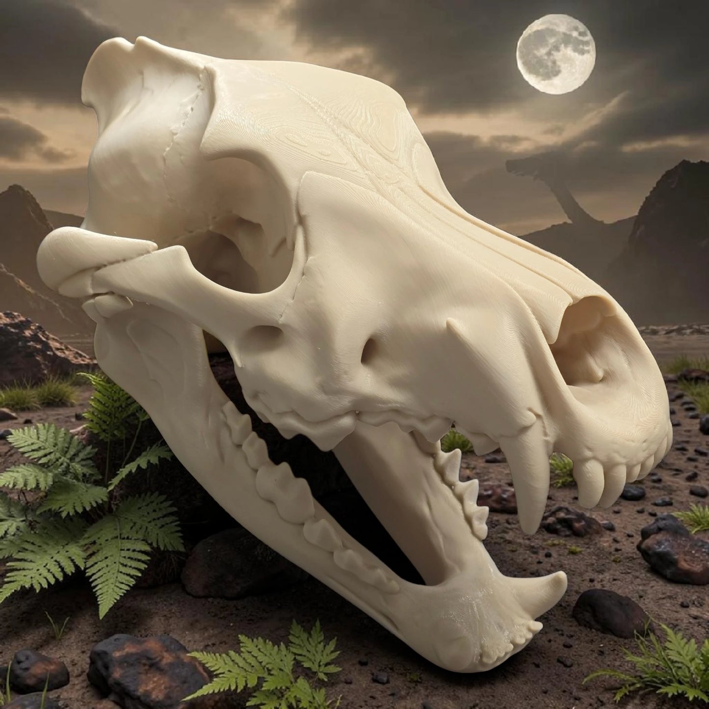 Dire Wolf Life-Size Replica Skull