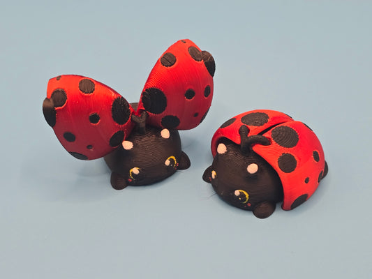 Ladybug
