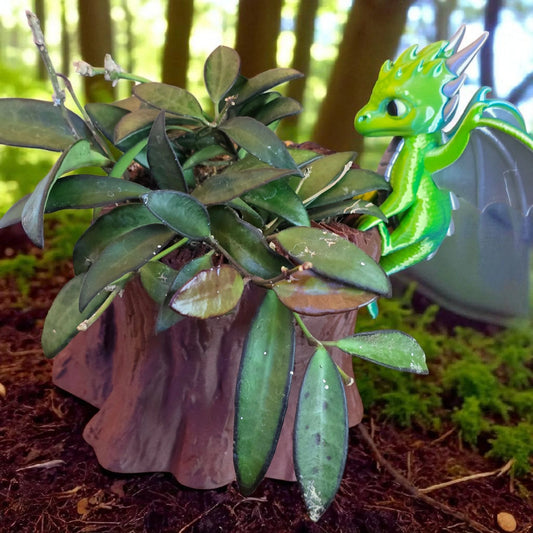 Garden Scout Dragon Planter