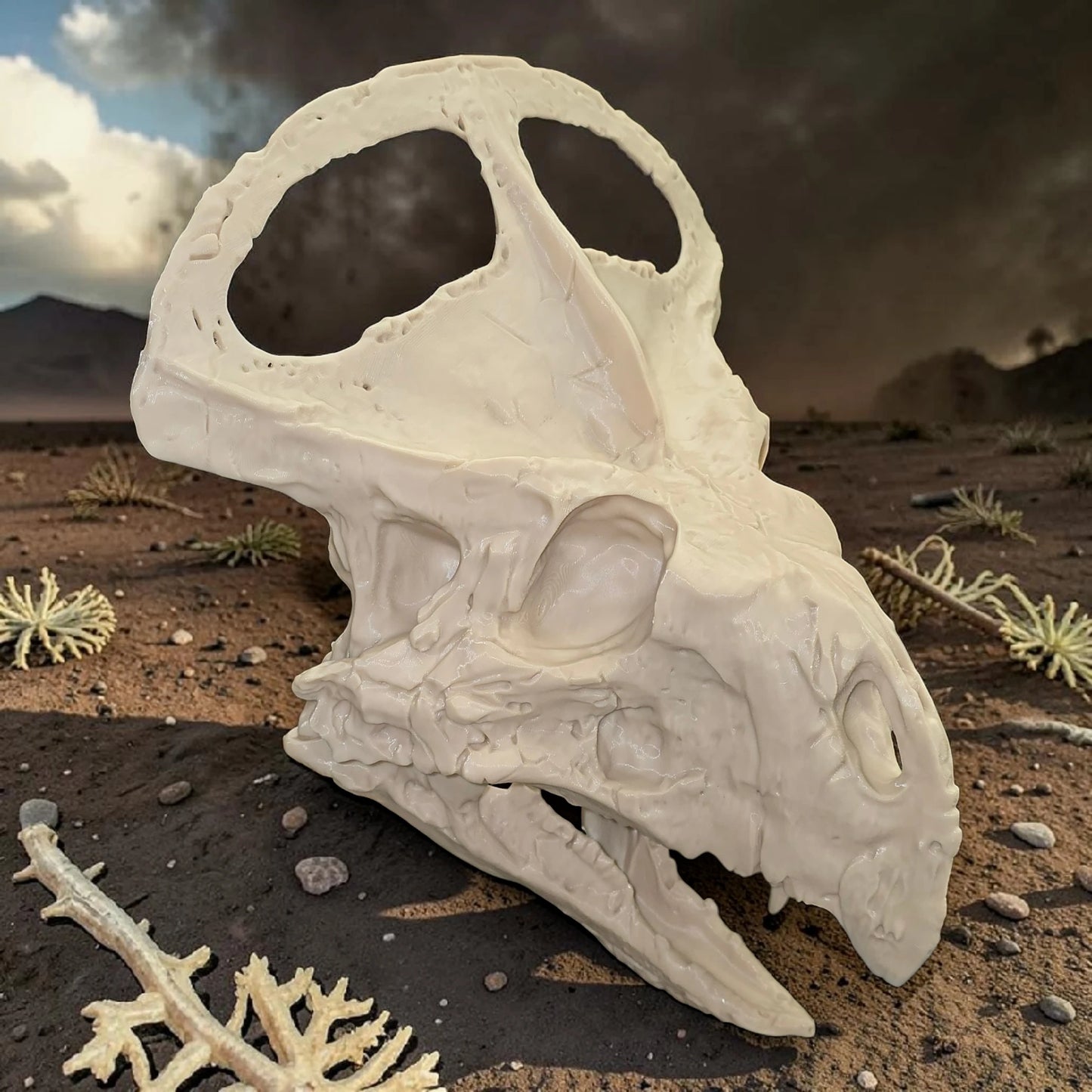 Protoceratops Skull – Ceratopsian Dinosaur Fossil